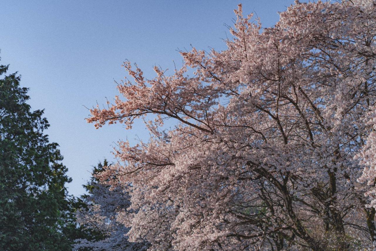 Kominkayado Loof Sakanoie Fuefuki Exterior foto